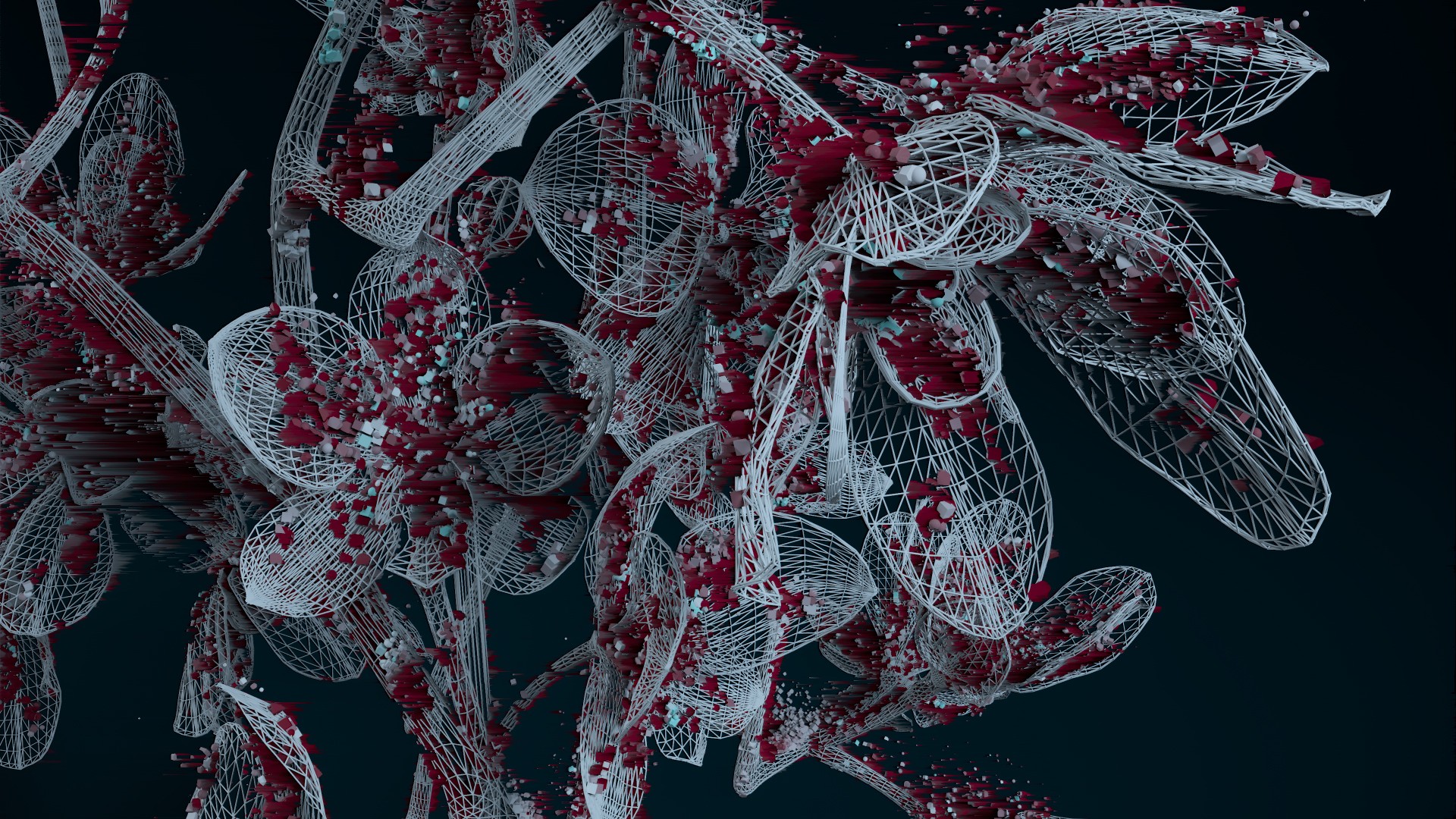 FLORA_WEB_002