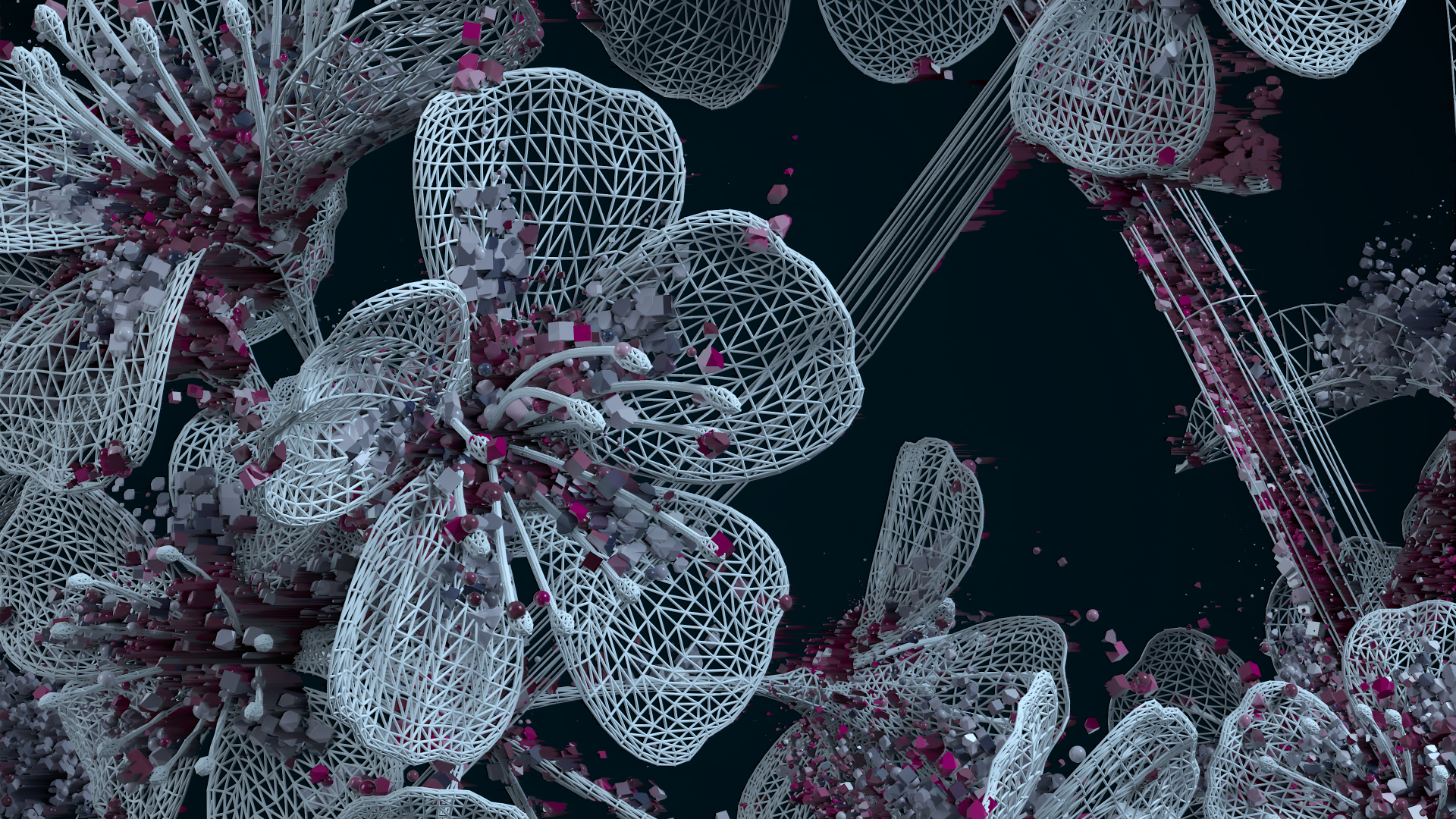 FLORA_WEB_003