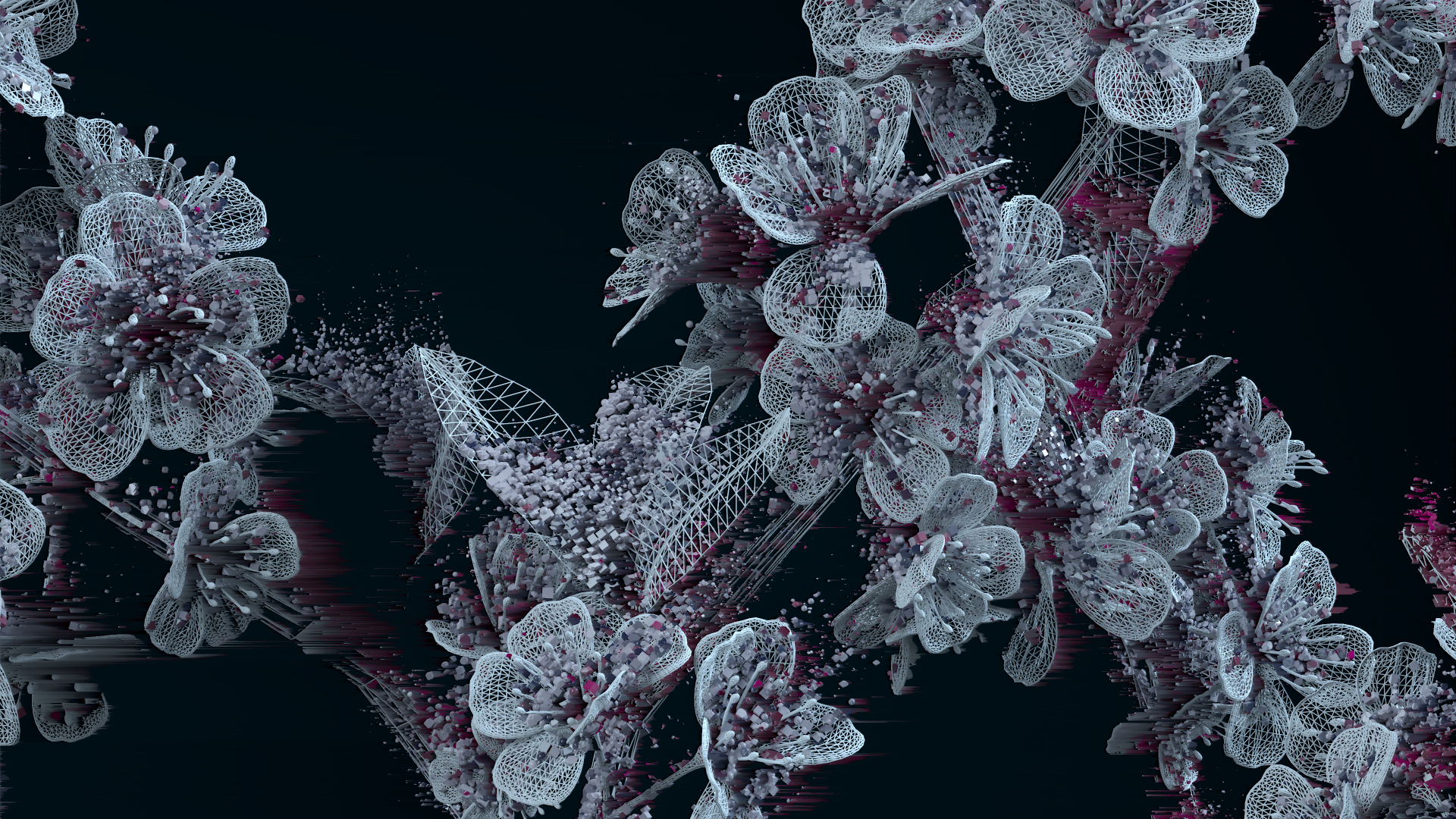 FLORA_WEB_005