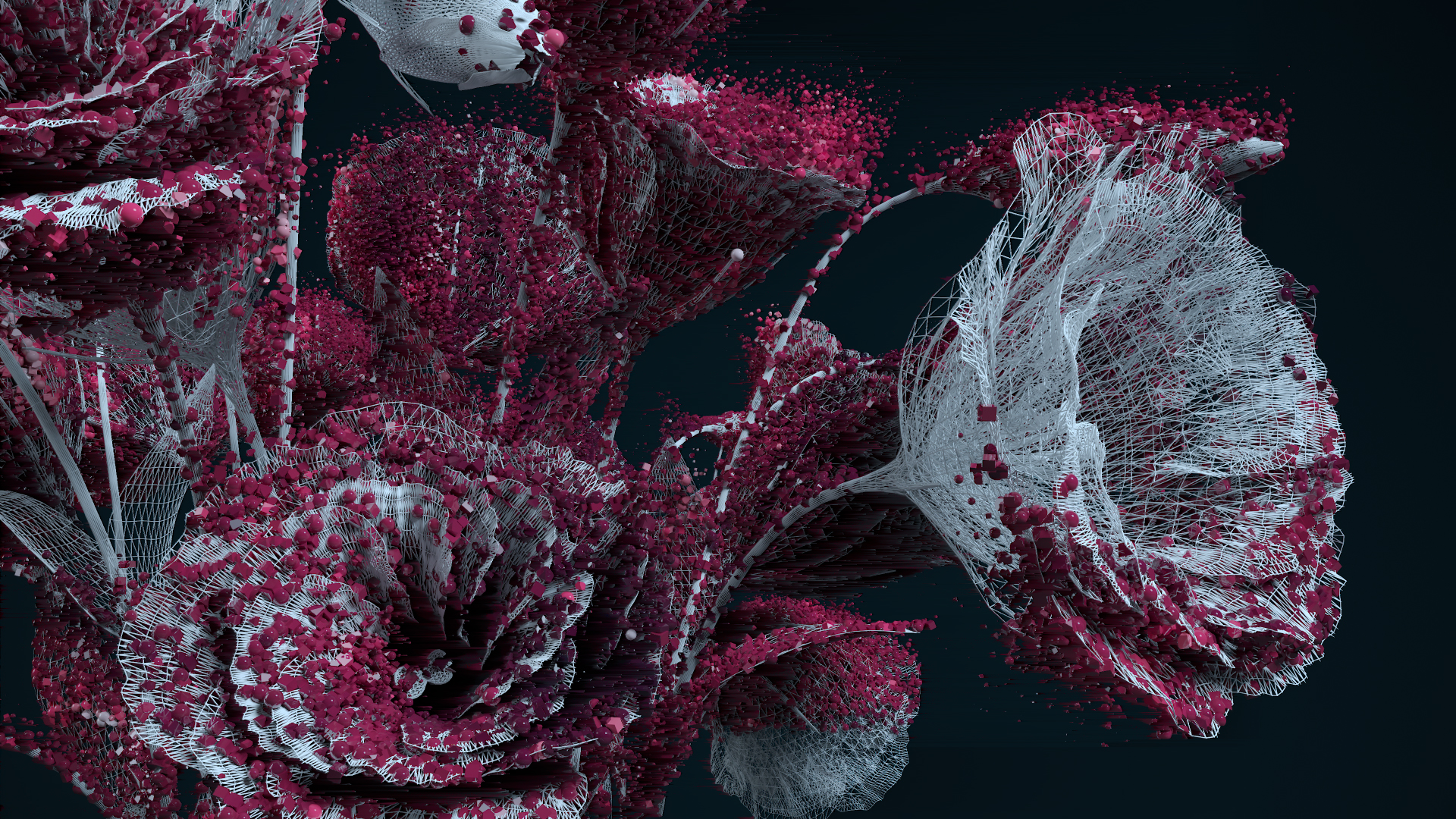 FLORA_WEB_007