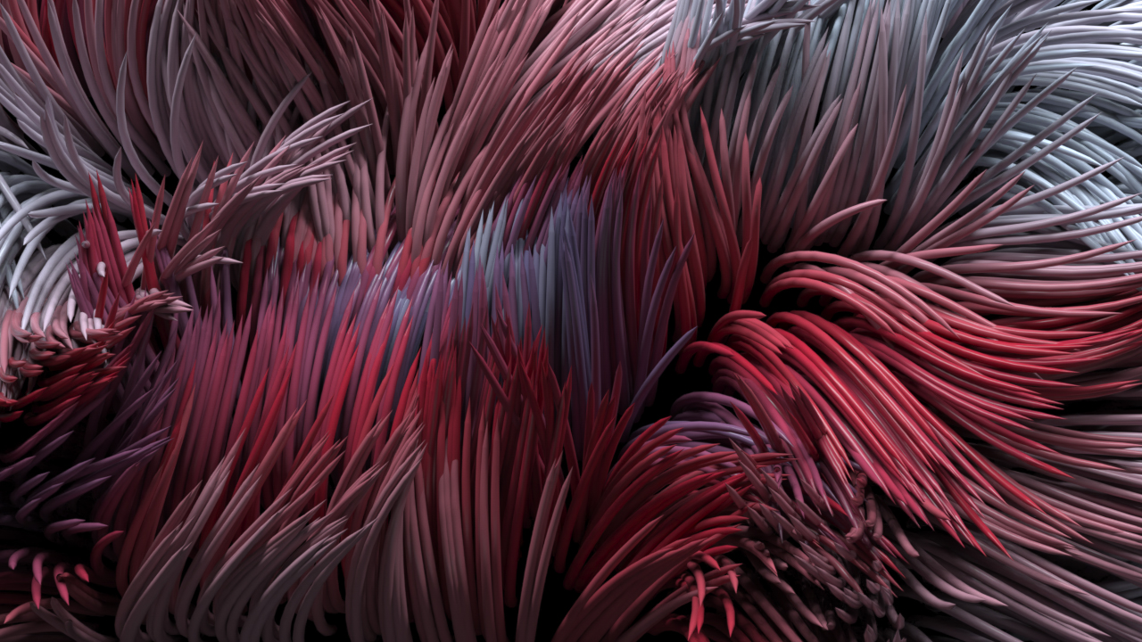 FR020_HAIRS_1280x720_0083