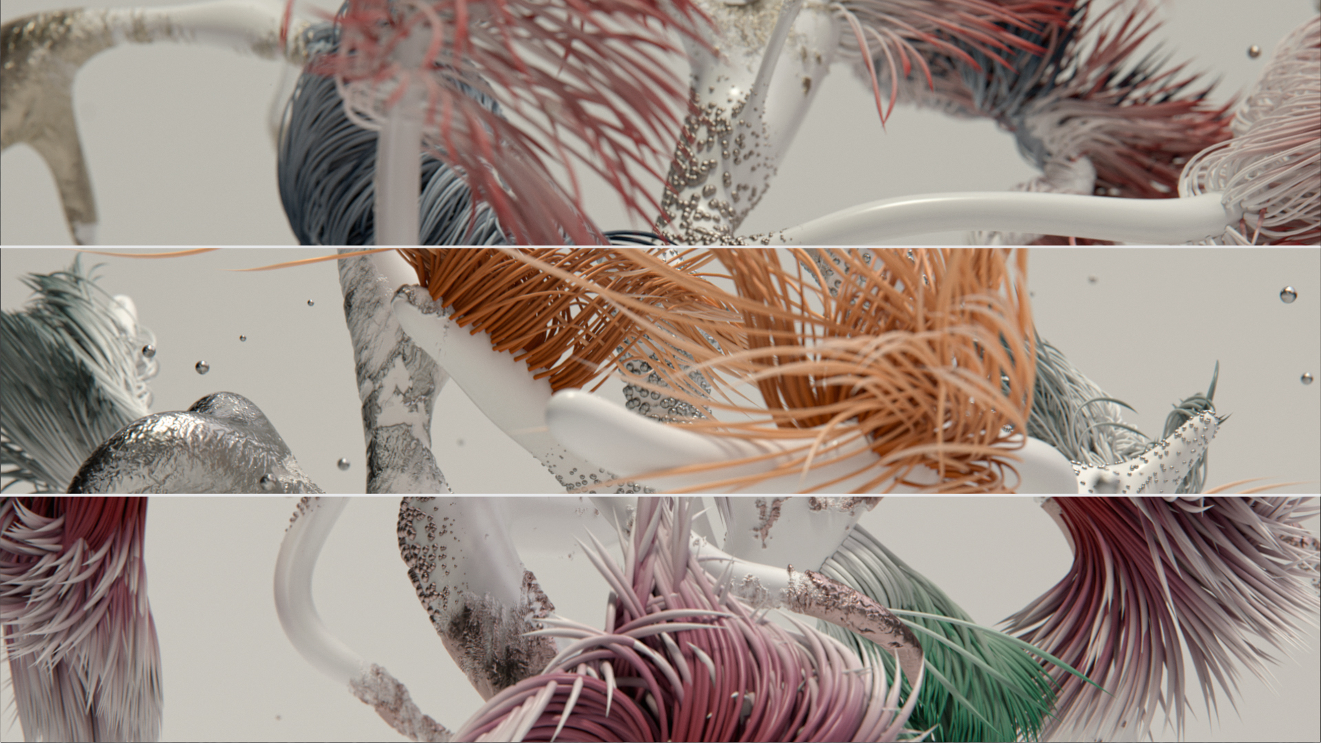 collage_benthic_flora