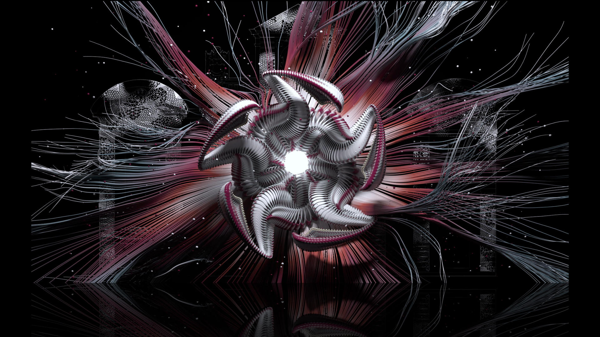 frame_03-1