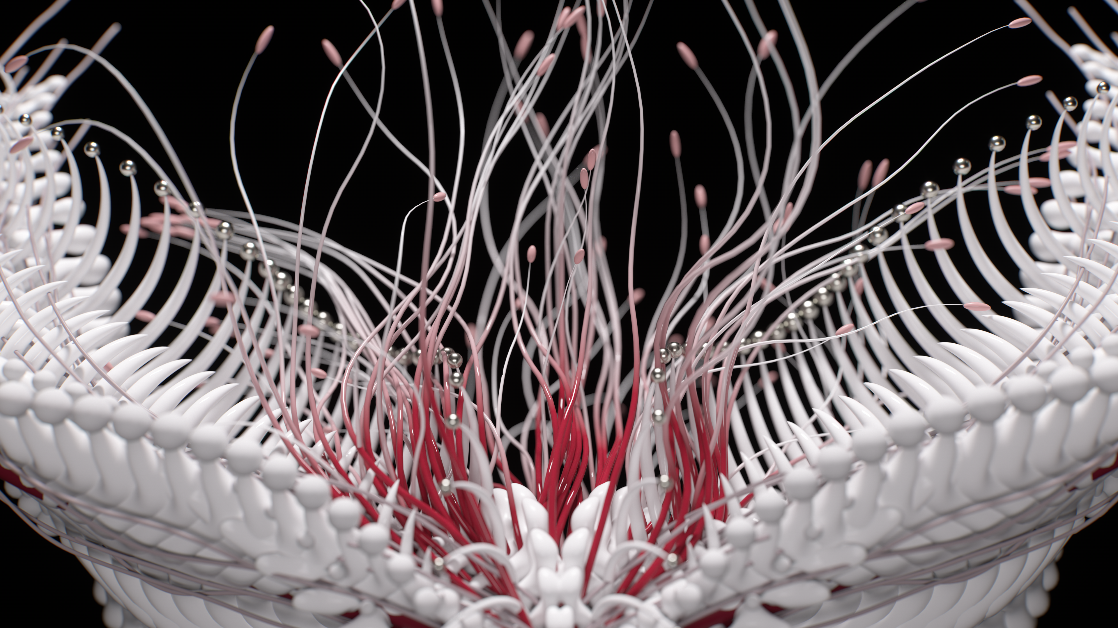 CL060_FINAL_FLOWER_V01_038_3840x2160_0565