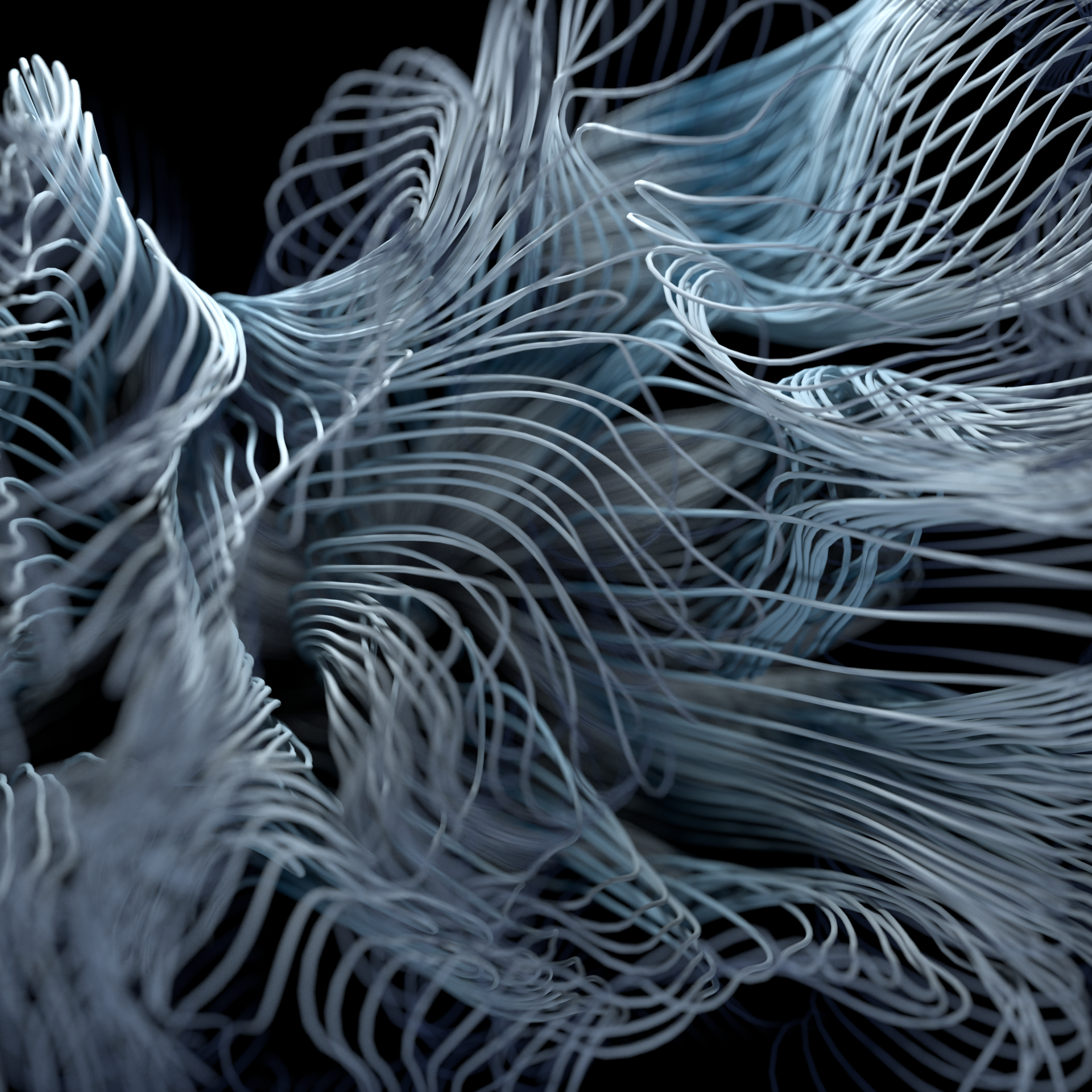 SC030_LAZLO_HAIRS_FR_003