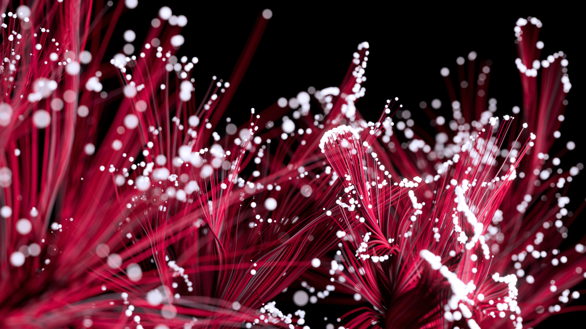 SH070_GROWING_HR2_0215