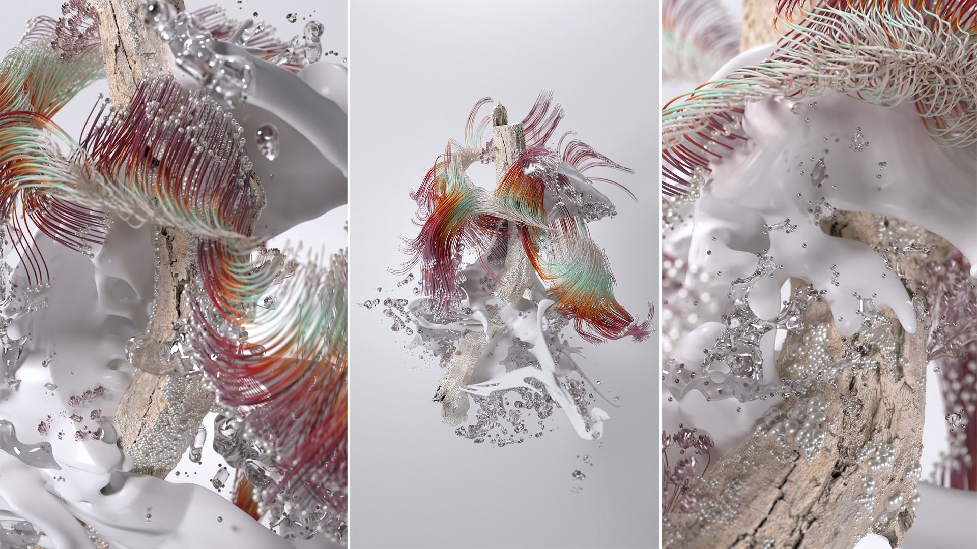 Sucession_collage