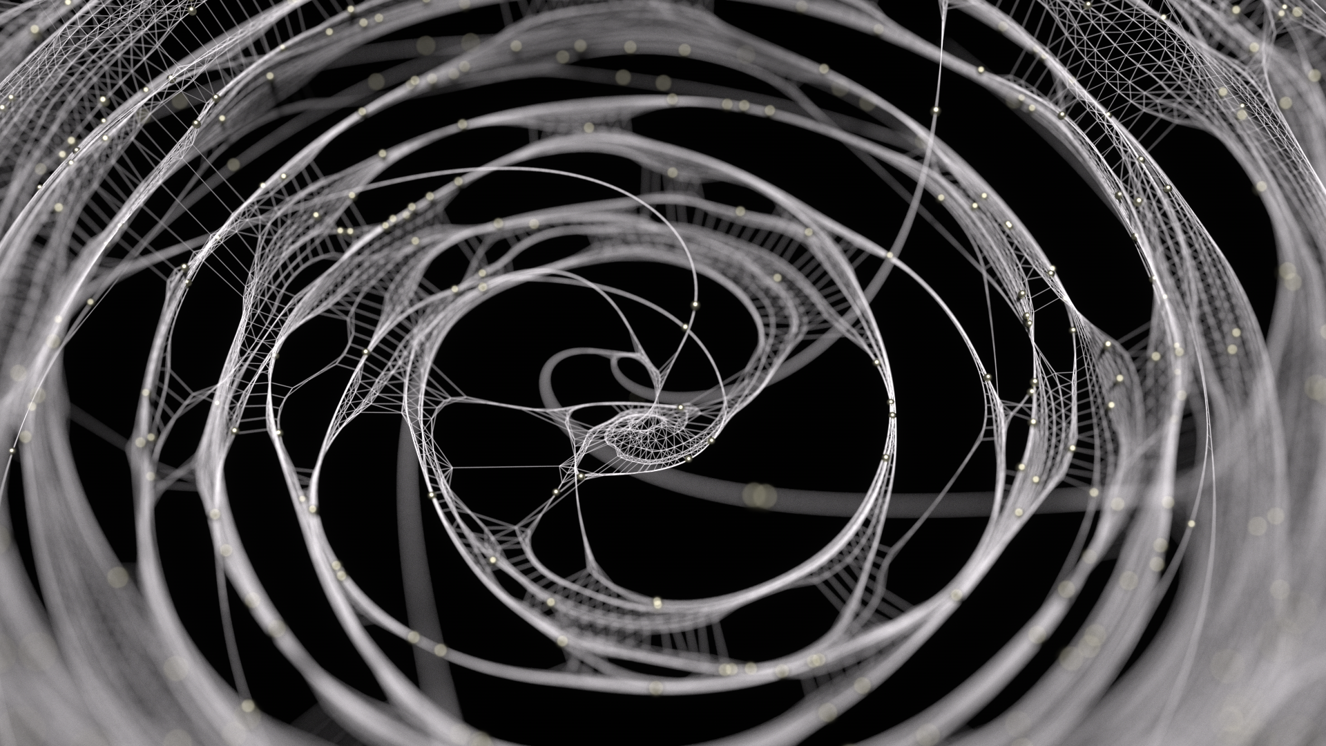 Mycelium x Videomapping Festival